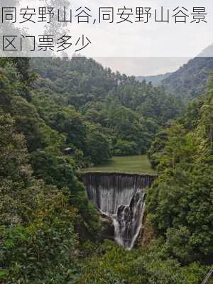 同安野山谷,同安野山谷景区门票多少