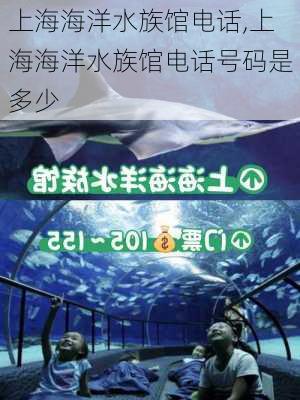 上海海洋水族馆电话,上海海洋水族馆电话号码是多少