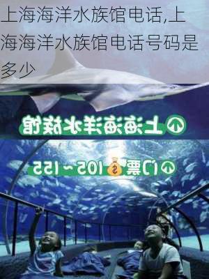 上海海洋水族馆电话,上海海洋水族馆电话号码是多少