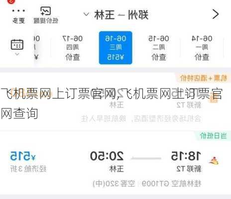 飞机票网上订票官网,飞机票网上订票官网查询