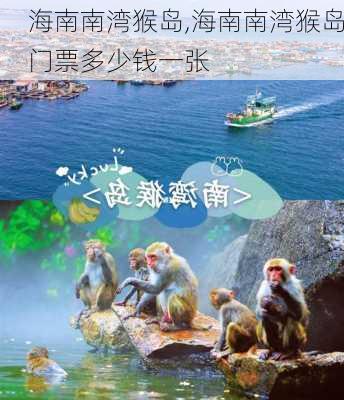 海南南湾猴岛,海南南湾猴岛门票多少钱一张