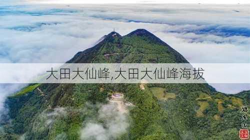 大田大仙峰,大田大仙峰海拔