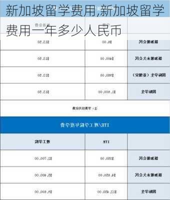 新加坡留学费用,新加坡留学费用一年多少人民币