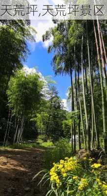 天荒坪,天荒坪景区