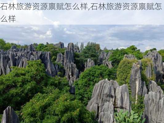 石林旅游资源禀赋怎么样,石林旅游资源禀赋怎么样