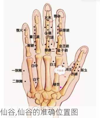 仙谷,仙谷的准确位置图