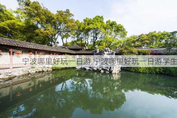 宁波哪里好玩一日游,宁波哪里好玩一日游学生