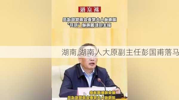 湖南,湖南人大原副主任彭国甫落马