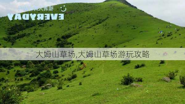 大姆山草场,大姆山草场游玩攻略