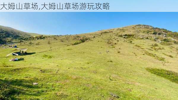 大姆山草场,大姆山草场游玩攻略