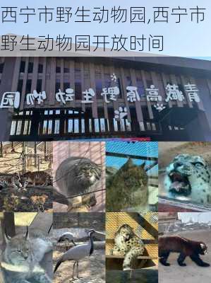 西宁市野生动物园,西宁市野生动物园开放时间