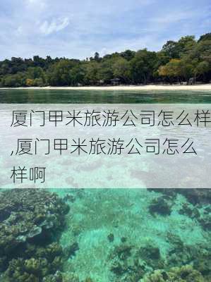 厦门甲米旅游公司怎么样,厦门甲米旅游公司怎么样啊