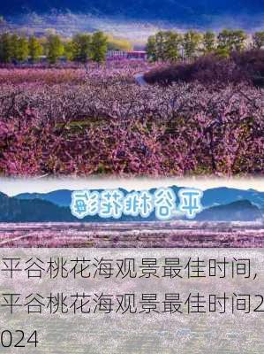 平谷桃花海观景最佳时间,平谷桃花海观景最佳时间2024