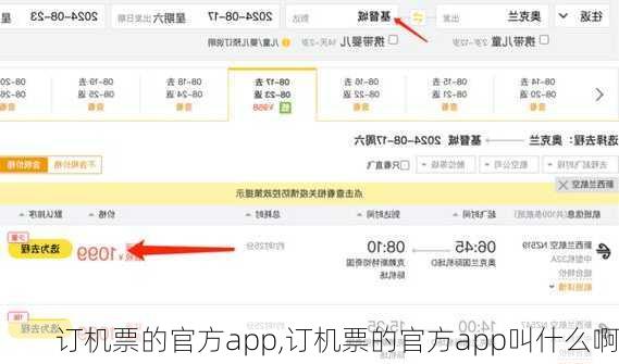 订机票的官方app,订机票的官方app叫什么啊