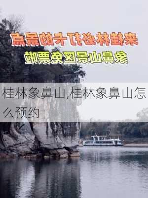 桂林象鼻山,桂林象鼻山怎么预约