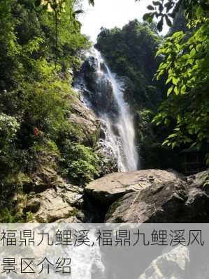 福鼎九鲤溪,福鼎九鲤溪风景区介绍