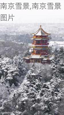 南京雪景,南京雪景图片