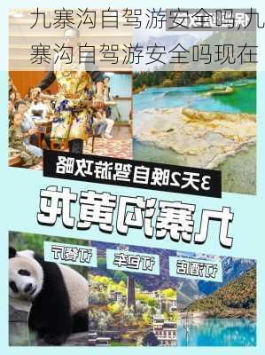 九寨沟自驾游安全吗,九寨沟自驾游安全吗现在