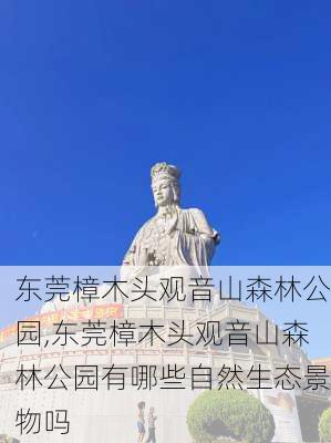 东莞樟木头观音山森林公园,东莞樟木头观音山森林公园有哪些自然生态景物吗