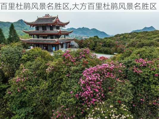 百里杜鹃风景名胜区,大方百里杜鹃风景名胜区