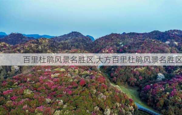 百里杜鹃风景名胜区,大方百里杜鹃风景名胜区