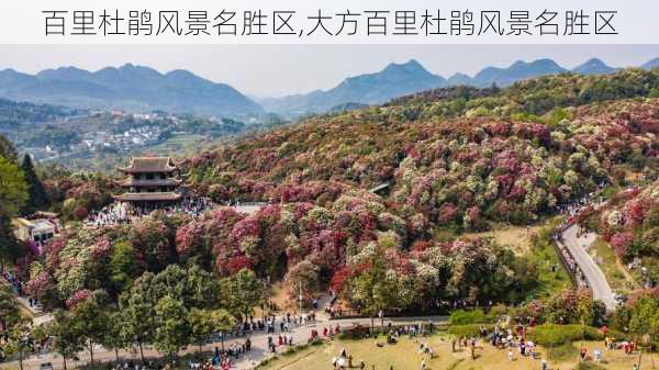 百里杜鹃风景名胜区,大方百里杜鹃风景名胜区