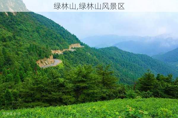 绿林山,绿林山风景区