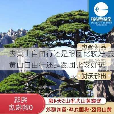 去黄山自由行还是跟团比较好,去黄山自由行还是跟团比较好玩