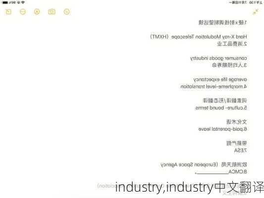 industry,industry中文翻译