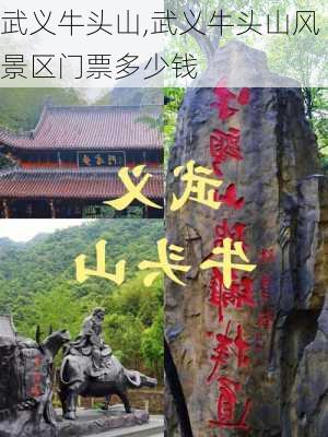 武义牛头山,武义牛头山风景区门票多少钱