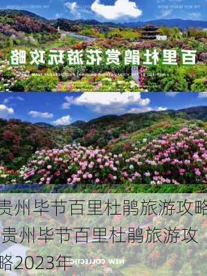 贵州毕节百里杜鹃旅游攻略,贵州毕节百里杜鹃旅游攻略2023年