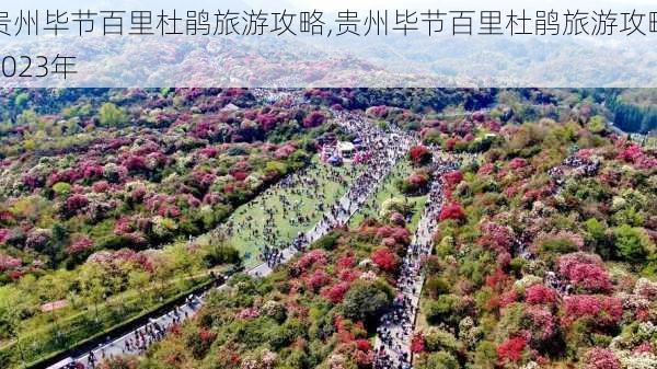 贵州毕节百里杜鹃旅游攻略,贵州毕节百里杜鹃旅游攻略2023年