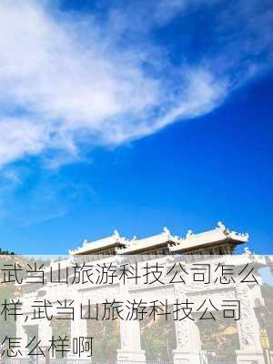 武当山旅游科技公司怎么样,武当山旅游科技公司怎么样啊