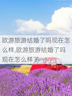 欧游旅游结婚了吗现在怎么样,欧游旅游结婚了吗现在怎么样了