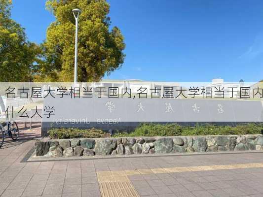 名古屋大学相当于国内,名古屋大学相当于国内什么大学