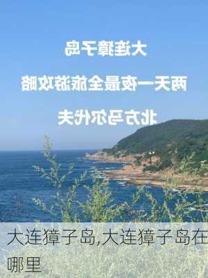 大连獐子岛,大连獐子岛在哪里