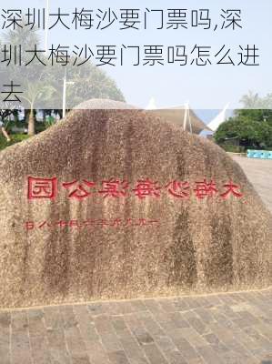 深圳大梅沙要门票吗,深圳大梅沙要门票吗怎么进去