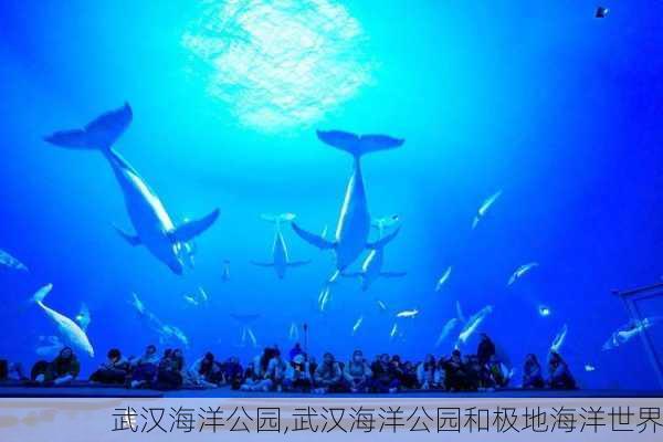 武汉海洋公园,武汉海洋公园和极地海洋世界