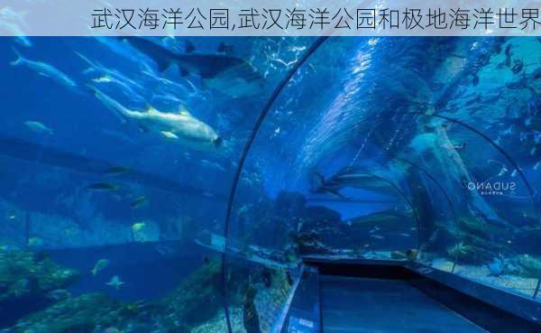 武汉海洋公园,武汉海洋公园和极地海洋世界