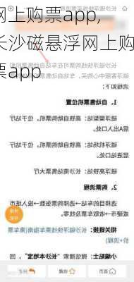 网上购票app,长沙磁悬浮网上购票app