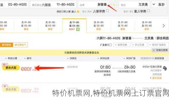 特价机票网,特价机票网上订票官网