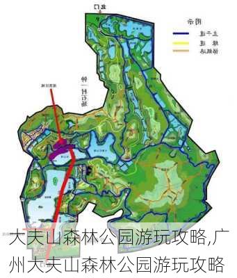 大夫山森林公园游玩攻略,广州大夫山森林公园游玩攻略