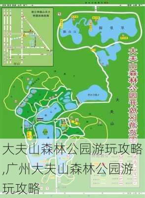 大夫山森林公园游玩攻略,广州大夫山森林公园游玩攻略