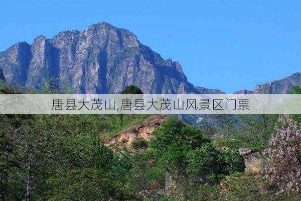 唐县大茂山,唐县大茂山风景区门票