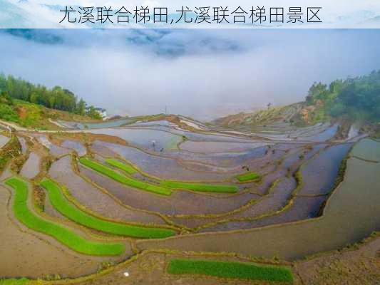 尤溪联合梯田,尤溪联合梯田景区