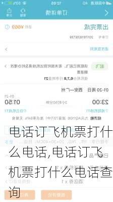 电话订飞机票打什么电话,电话订飞机票打什么电话查询