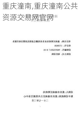 重庆潼南,重庆潼南公共资源交易网官网