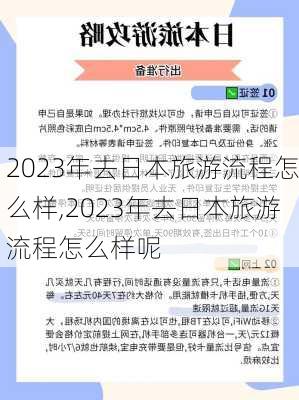 2023年去日本旅游流程怎么样,2023年去日本旅游流程怎么样呢