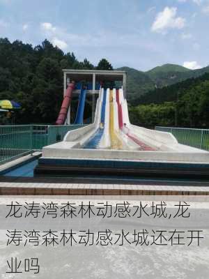 龙涛湾森林动感水城,龙涛湾森林动感水城还在开业吗