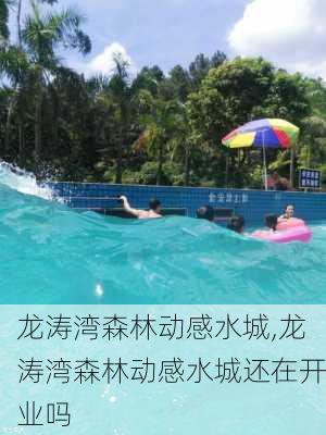 龙涛湾森林动感水城,龙涛湾森林动感水城还在开业吗